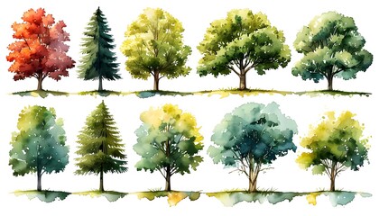 Wall Mural - Whimsical Watercolor Collection of Diverse Trees Showcasing Spring and Summer Vibes on a White Canvas