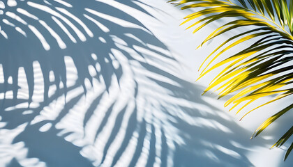 Wall Mural - transparent shadow overlay effect palm leaves water ripples and sunlight reflections on transparent background ideal for product placement