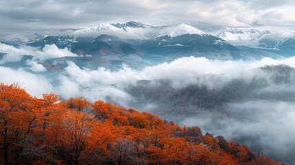 Poster - The mountains are covered in snow and the trees are orange