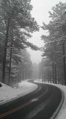 Poster - A snowy road with trees in the background