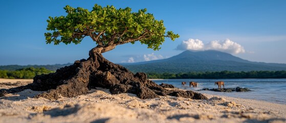 Sticker -  A tree emerges from a sandy mound on the beach, facing a body of water Behind it, a mountain looms in the distance