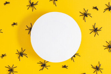 Wall Mural - Halloween background. Top view of empty white round layout for text and black spiders on yellow background. top view.