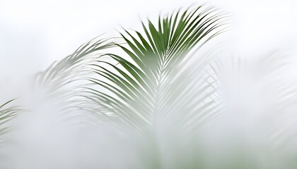 Canvas Print - Mystical jungle mist enveloping palm tree branches in a textured tropics landscape