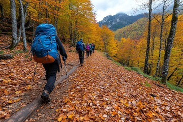 Aufkleber - Forest trail in autumn mountains, where hikers walk along a path covered in fallen leaves, surrounded by towering trees in full fall color