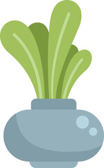 Poster - fresh radish growing from the ground with green leaves, healthy food, vegetarian nutrition, root veg