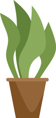 Poster - Simple illustration of a green plant with long leaves growing in a clay pot