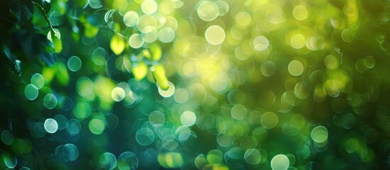 Poster - green blurred background the bokeh effect
