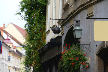 Wall Mural - Picturesque historical buildings in central Ljubljana, capital of Slovenia. Autumnal foliage on the trees.