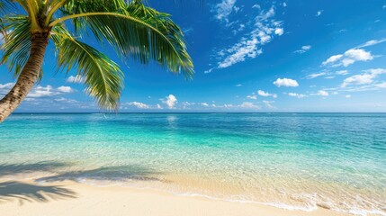 Wall Mural - tropical beach view with palm tree, crystal clear water, and blue sky.