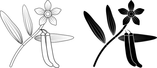 Wall Mural - vanilla planifolia plant icon set