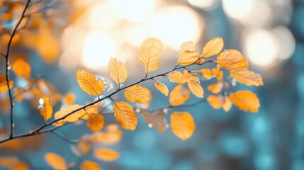 Wall Mural - The vibrant leaves glow warmly in the fading light, showcasing the beauty of autumn in a peaceful woodland setting