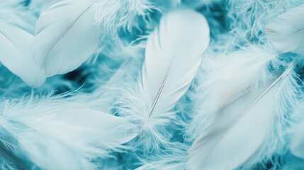 A collection of soft white feathers showcases intricate textures, resting gracefully on a light blue surface