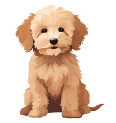 Wall Mural - PNG Labradoodle pet animal mammal.