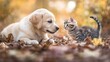 © fekong - A Heartwarming Moment Between a Dog and Cat at Play, Puppy And Kitten, Dog and Cat Playing Together