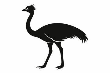 Wall Mural - Emu silhouette vector, ostrich emu bird vector illustration 