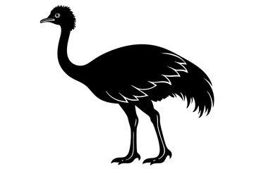 Wall Mural - Emu silhouette vector, ostrich emu bird vector illustration 