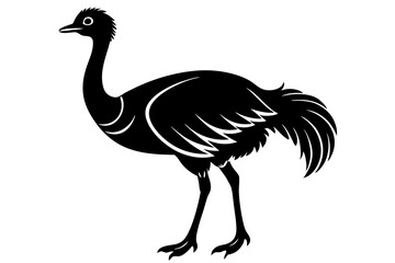 Wall Mural - 
Emu bird vector silhouette, ostrich emu bird vector illustration 