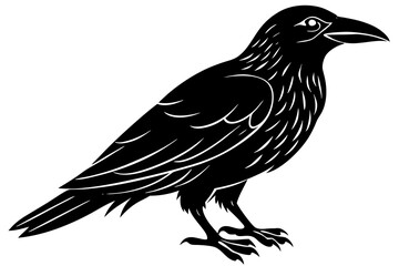 Wall Mural - Vector illustration of black silhouette of a crow,white background