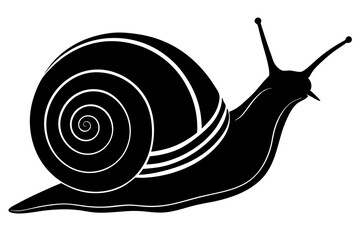 Wall Mural - snail silhouette vector art illustration