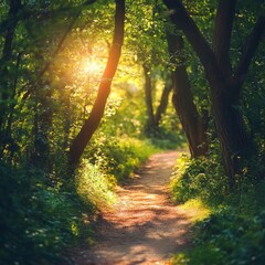 Wall Mural - Inspirational nature quote with a background of a peaceful forest path, dappled in sunlight, ideal for a serene Facebook post.