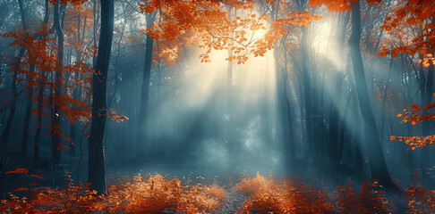 Aufkleber - Mystic autumn forest fog, sun rays.