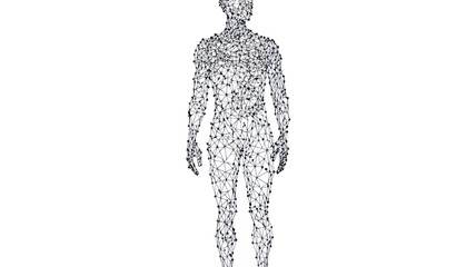 Poster - Polygonal Human Body Illustration in Low-Poly Style with Thin Lines and Dots for Science and Medicine Vector