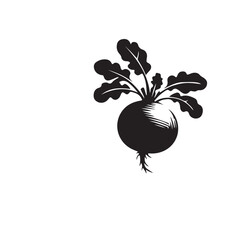 Poster - silhouette of a radish, Radish icon vector illustration graphic design