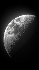 Wall Mural -   A monochrome photograph captures the luminous moon amidst the velvet sky at night