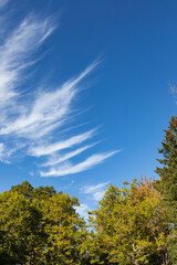 beautiful fall autumn scenery with blue sky nice feathered clouds, yellow orange green trees, great 