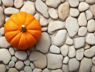 Canvas Print - pumpkin on pebble surface with blank space