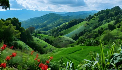 Wall Mural - Scenic Kodaikanal Panorama Featuring Lush Green Hills, Vibrant Sky, and Majestic Mountains Embracing Natures Beauty in Indias Tropical Landscape