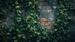 © Olena - Vintage Brick Wall Covered in Curly Ivy, Gothic Architectural Detail