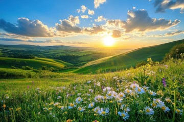 Sticker - A vibrant sunset over rolling hills, adorned with blooming flowers and a colorful sky.