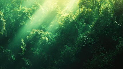  A serene forest scene with sunlight filtering through lush green foliage.