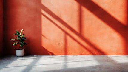 A beautiful potted plant sits against a warm orange wall, with dramatic shadows enhancing the natural elements and creating a serene, artistic interior space.