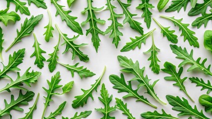 Fresh arugula leaves arranged in a pattern, fresh, arugula, leaves, green, vegetables,arrangement, healthy, organic