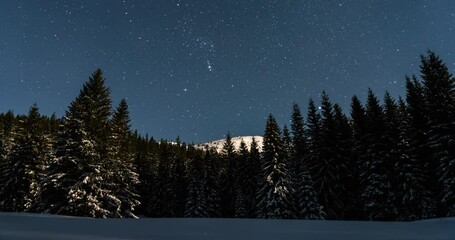 Wall Mural - blue starry night sky with stars moving over in winter forest mountains astronomy time lapse