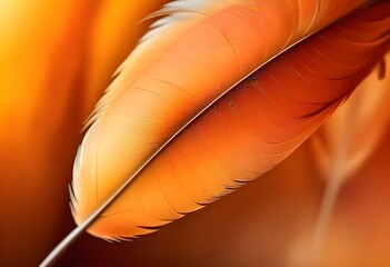 A close-up of a vibrant orange and yellow feather against a blurred, warm-toned background