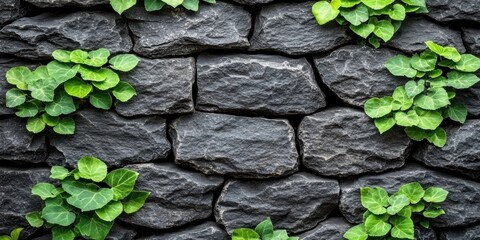 Poster - A Stone Wall Embellished with Lush Greenery, Evoking a Sense of Nature's Resilience and Beauty