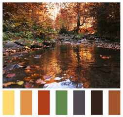 Shades of fall. Beautiful autumn landscape and matching color palette