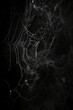 © Starmarpro - sPIDER WEB ON A DARK BLACK BACKGROUND. SCARY SPOOKY. HALLOWEEN BACKGROUND. High quality photo