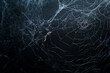 © Starmarpro - sPIDER WEB ON A DARK BLACK BACKGROUND. SCARY SPOOKY. HALLOWEEN BACKGROUND. High quality photo