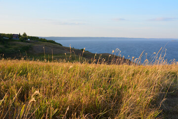 a field with tall and dry grass and the ocean in the background