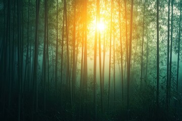 Poster - A serene bamboo forest illuminated by soft sunlight filtering through the mist.