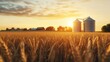 © olegganko - Golden wheat field with silos at sunset in rural farmland during harvest season