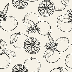 Line art yuzu fruit branches seamless pattern