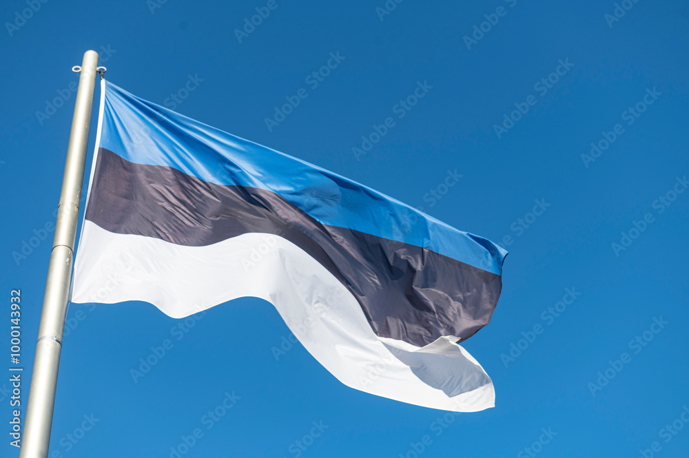 Flag of Estonia flying in the wind with a blue sky background...country ...