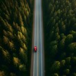 © graphic_library - A red car or truck on a forest area view
