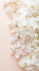 Wall Mural -   Close-up of pink background with space for text or image surrounded by flowers