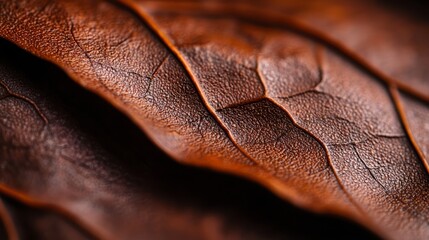 Canvas Print -  A tight shot of a textured brown leather, exhibiting a pattern resembling leaves on its surface